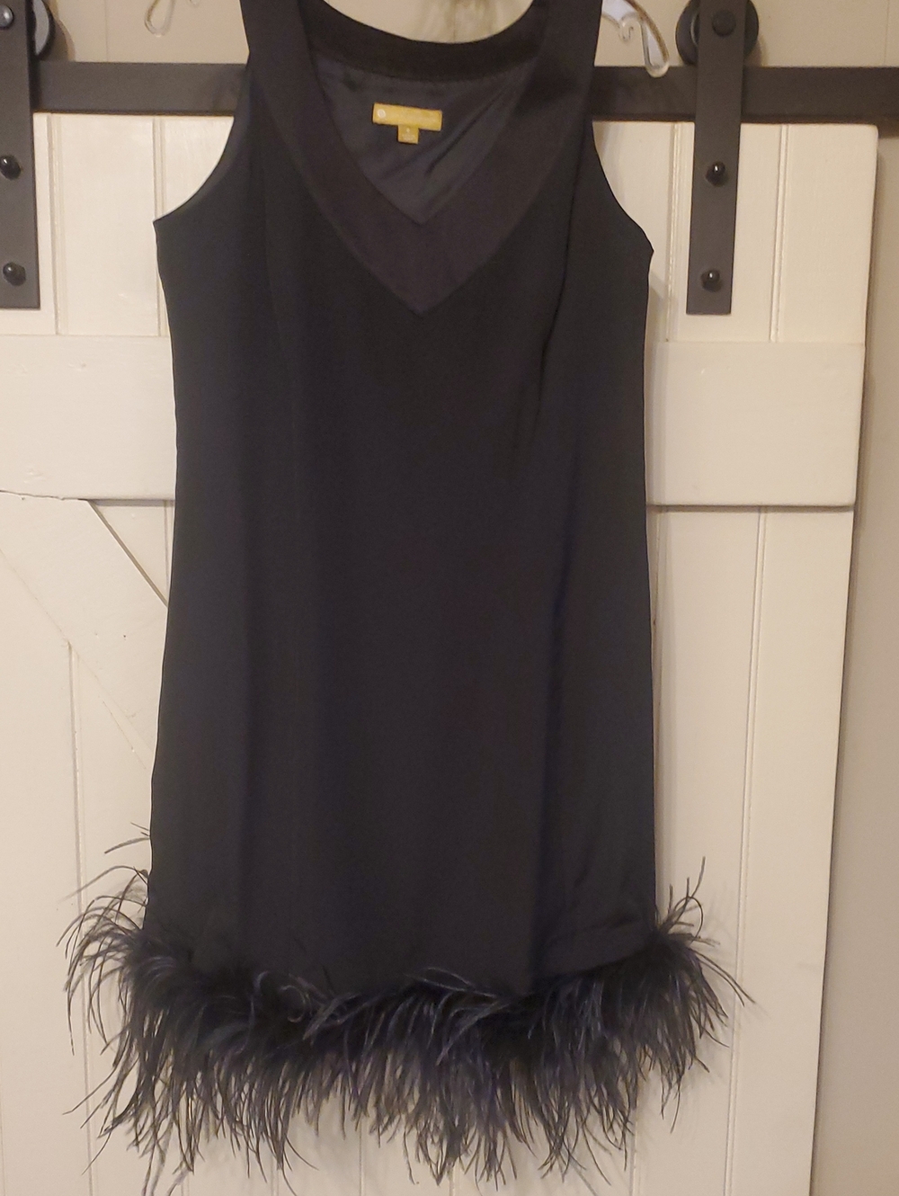 Black Feather Trim Sleeveless Dress